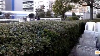 在线视亚洲欧美,国产精品免费大片一区二区高清